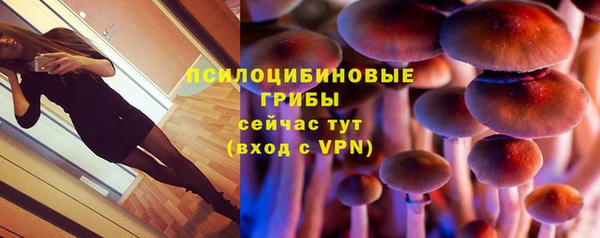 амф Алзамай