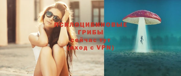 амф Алзамай