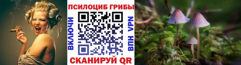 Галлюциногенные грибы мицелий  продажа наркотиков  Лобня 