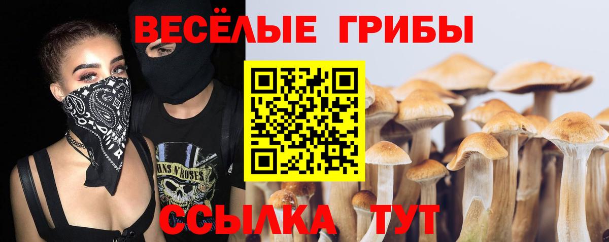 Галлюциногенные грибы Magic Shrooms Лобня