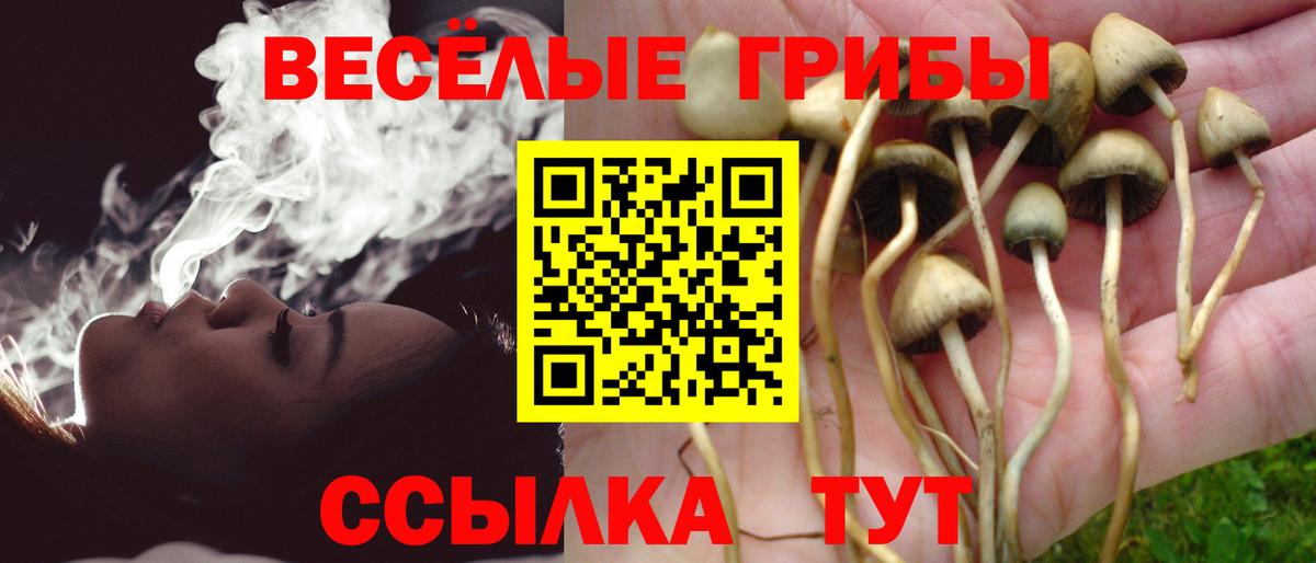 Псилоцибиновые грибы мухоморы  Галлюциногенные грибы MAGIC MUSHROOMS  Вход с VPN  Лобня 